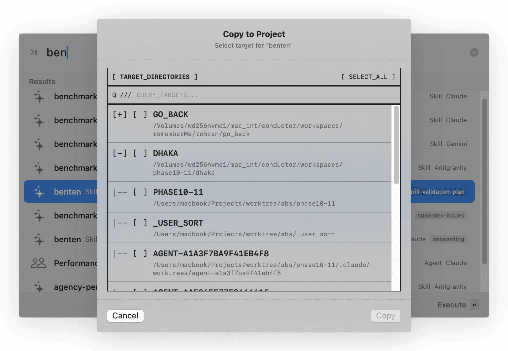 Copy to Project dialog showing list of target projects with checkboxes for api-designer item